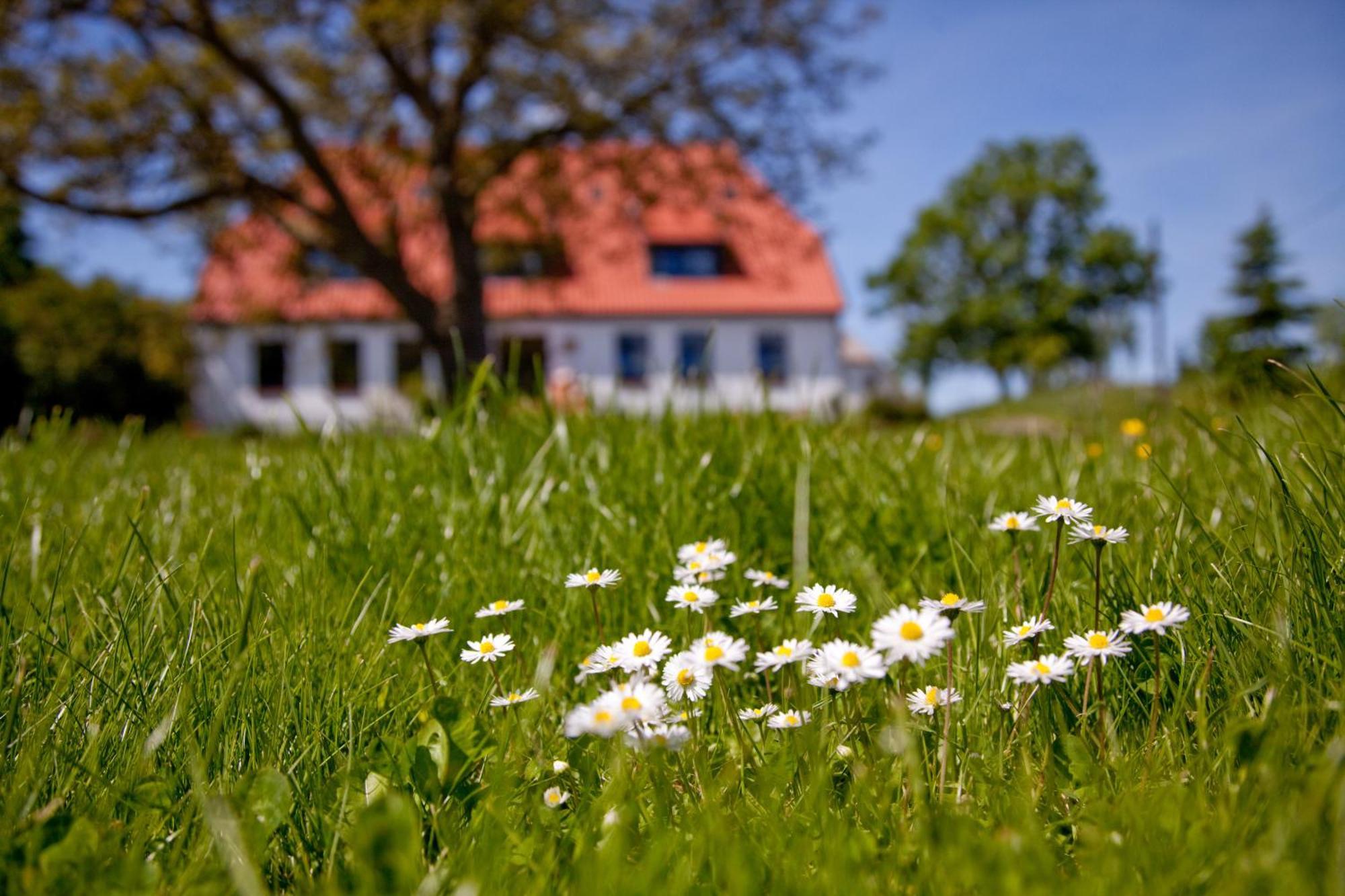 Gutshaus Ketelshagen Hotel Putbus Exterior foto